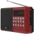 Радиоприемник Ritmix RPR-002 (красный) в интернет-магазине НА'СВЯЗИ