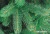 Ель Бифорес Премиум Микс (1.65 м, темно-зеленый) в интернет-магазине НА'СВЯЗИ