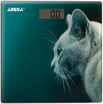 Напольные весы Aresa AR-4412 в интернет-магазине НА'СВЯЗИ