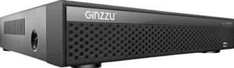 Сетевой видеорегистратор Ginzzu HP-810