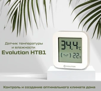 Термогигрометр Evolution HTB1