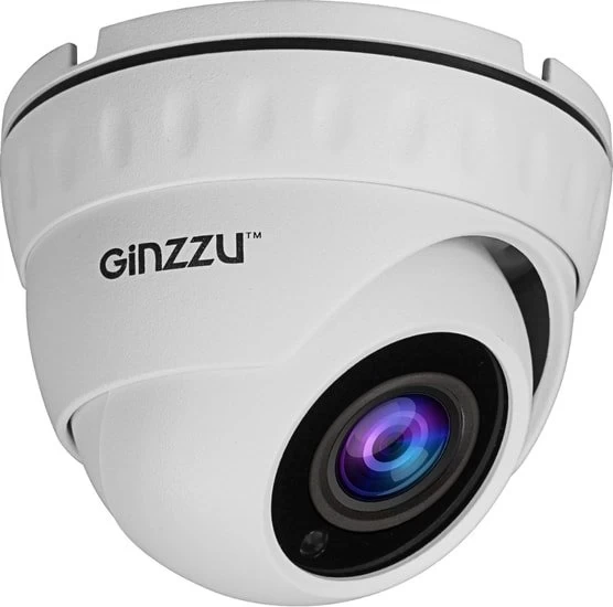 IP-камера Ginzzu HID-2032S