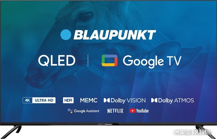 

Телевизор Blaupunkt 50QBG7000T