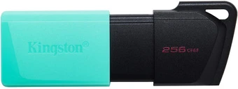USB Flash Kingston DataTraveler Exodia M 256GB