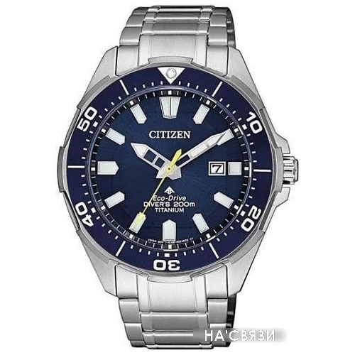 Наручные часы Citizen BN0201-88L