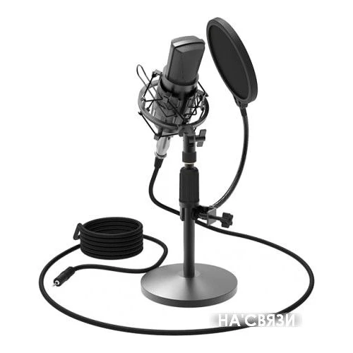 Микрофон Ritmix RDM-175 в интернет-магазине НА'СВЯЗИ