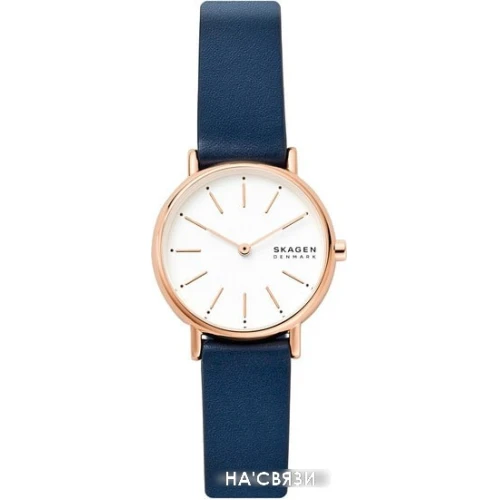 Наручные часы Skagen SKW2838