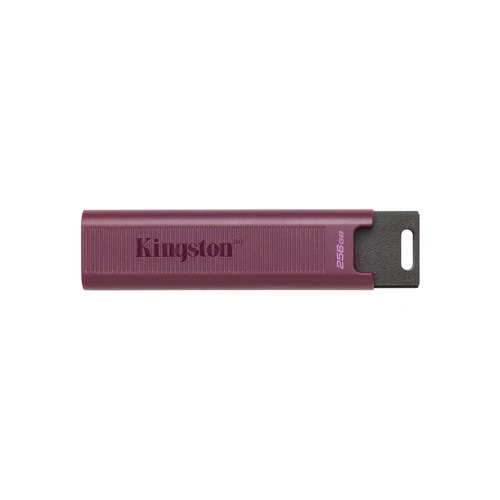 USB Flash Kingston DataTraveler Max Type-A 256GB в интернет-магазине НА'СВЯЗИ