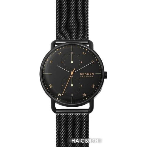 Наручные часы Skagen SKW6538