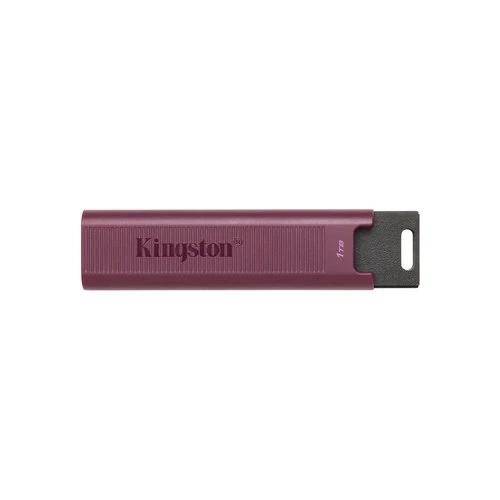 USB Flash Kingston DataTraveler Max Type-A 1TB в интернет-магазине НА'СВЯЗИ