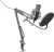 Микрофон Ritmix RDM-169 в интернет-магазине НА'СВЯЗИ