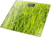 Напольные весы Lumme LU-1329 (молодая трава) в интернет-магазине НА'СВЯЗИ